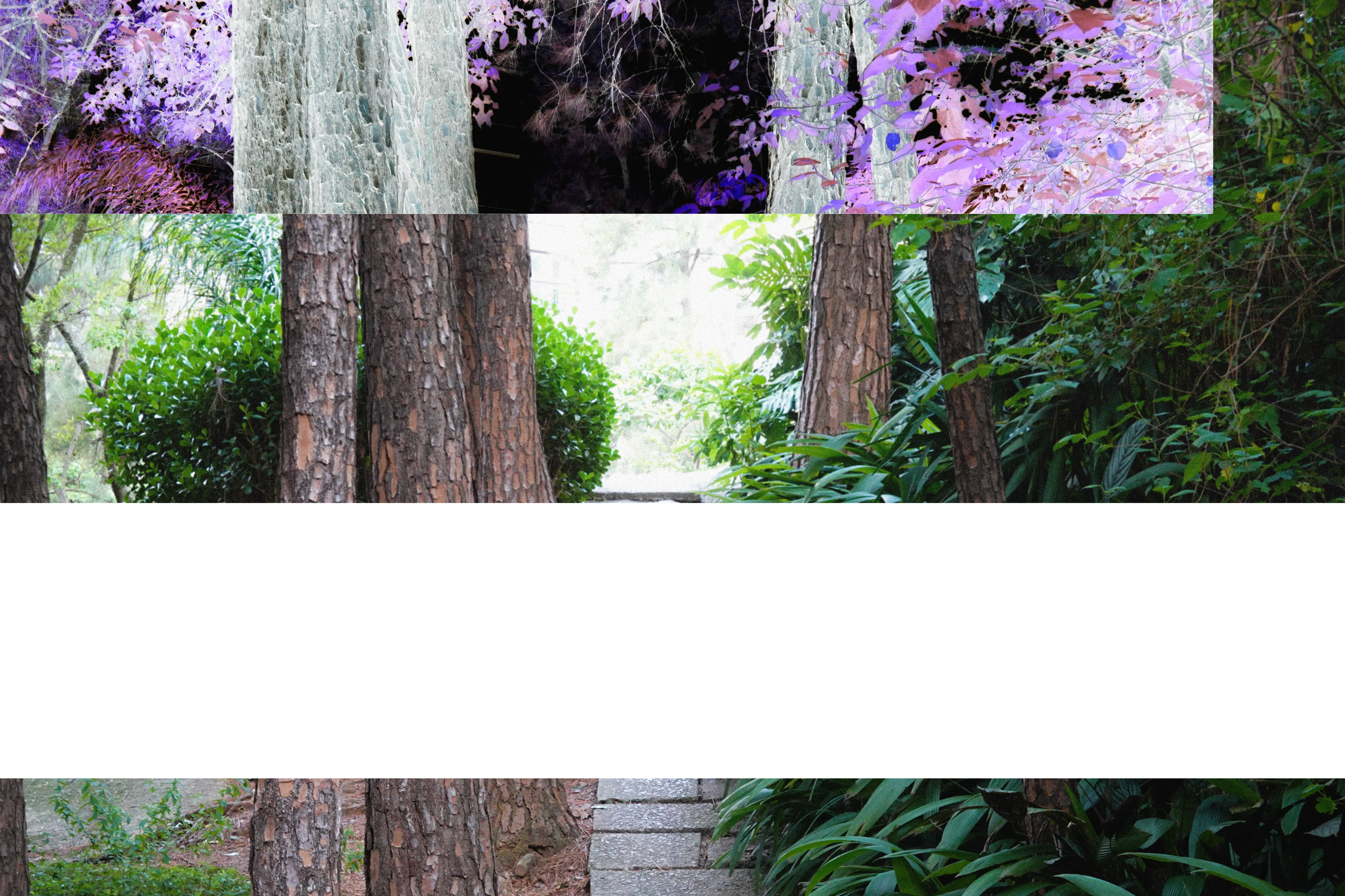 Portfolio footer - full-width image two