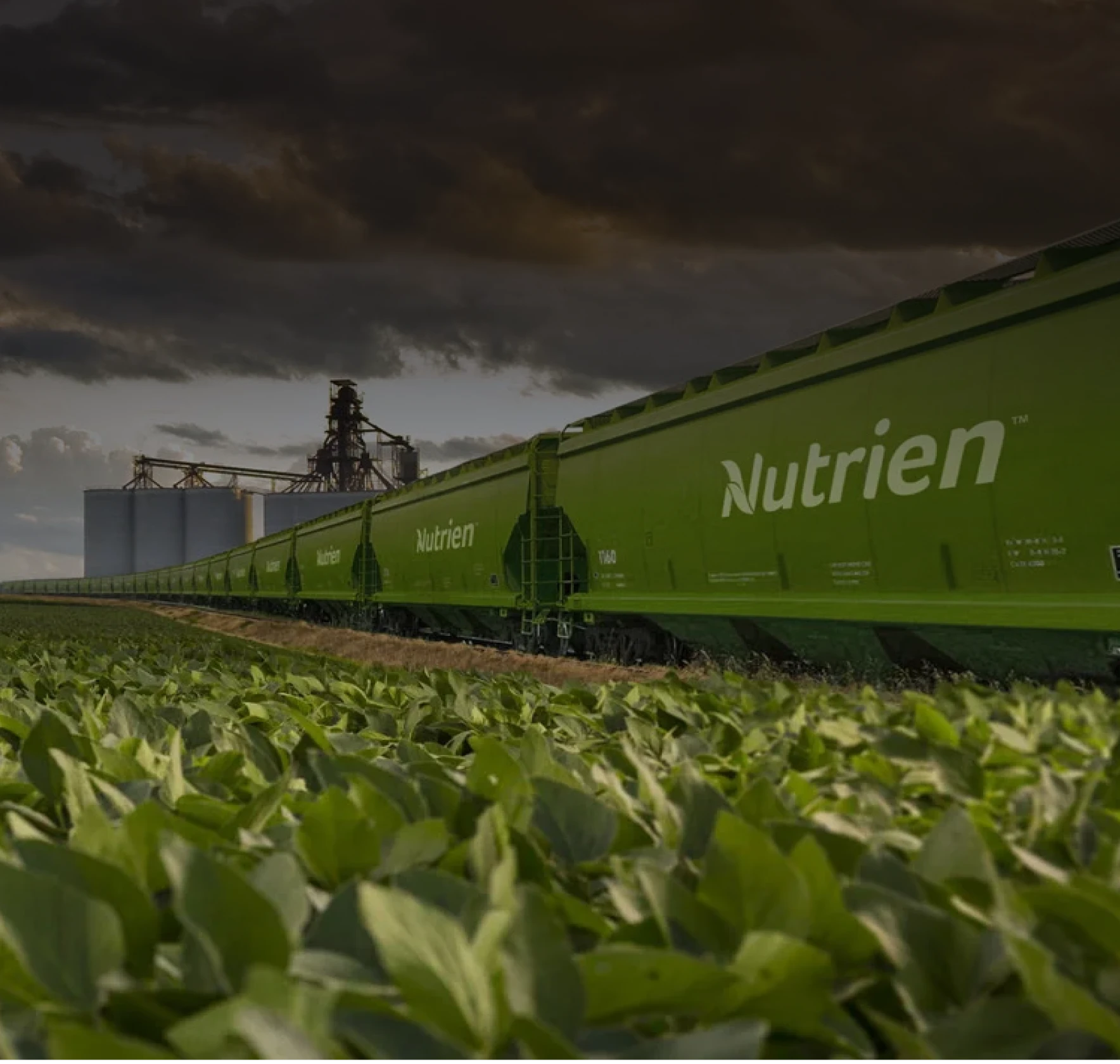 Nutrien — agriculture and digital product design work